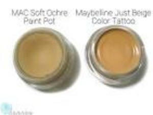 orgamic dupe for mac paint pot